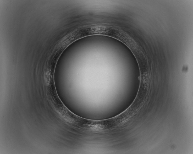 X0000096170741200801181249
