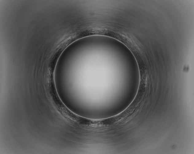 X0000096170744200801181249