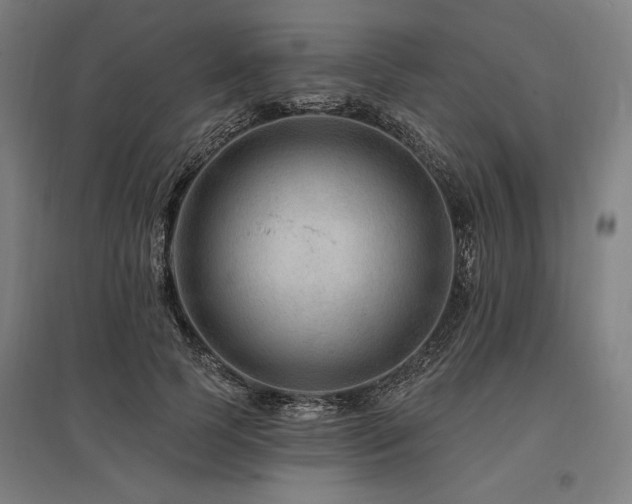 X0000096170745200801181249