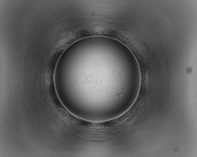 X0000096170746200801181249