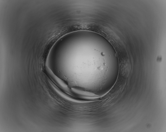 X0000096170747200801181249