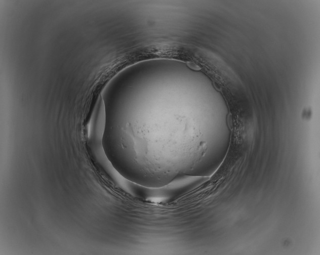 X0000096170748200801181249