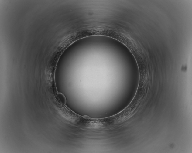 X0000096170749200801181249