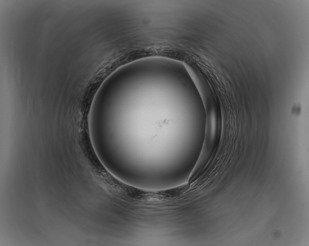 X0000096170750200801181249