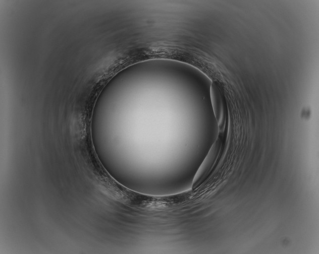 X0000096170751200801181249
