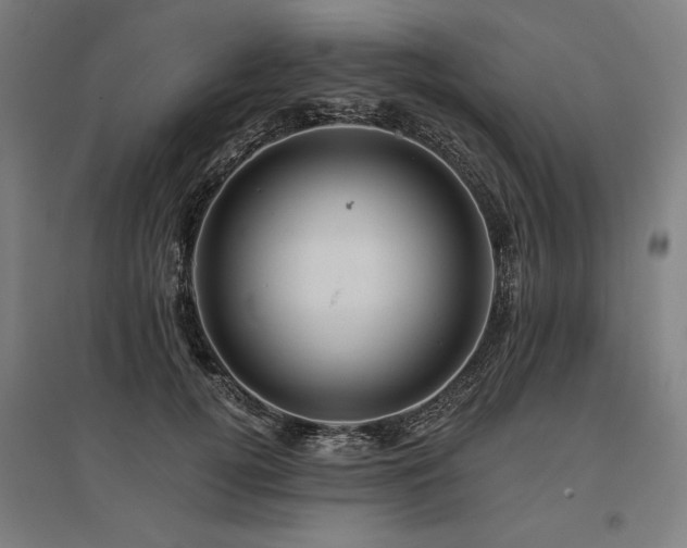 X0000096170752200801181249