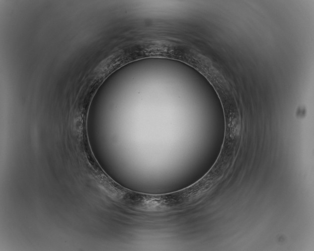X0000096170753200801181249