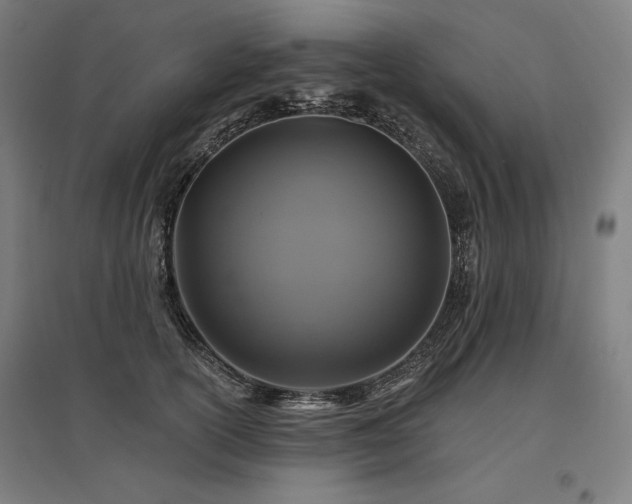 X0000096170754200801181249