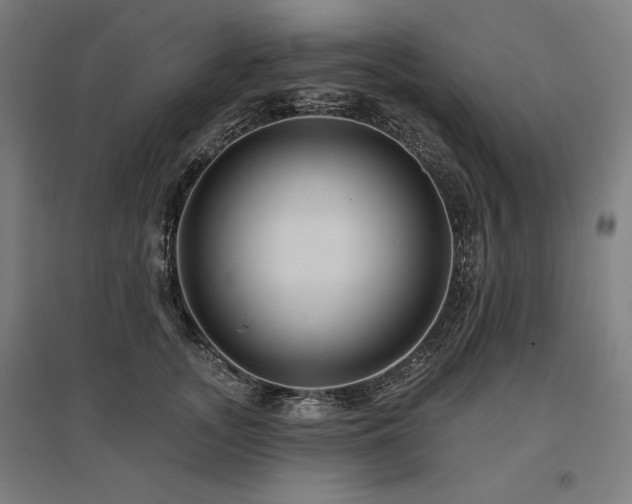 X0000096170755200801181249