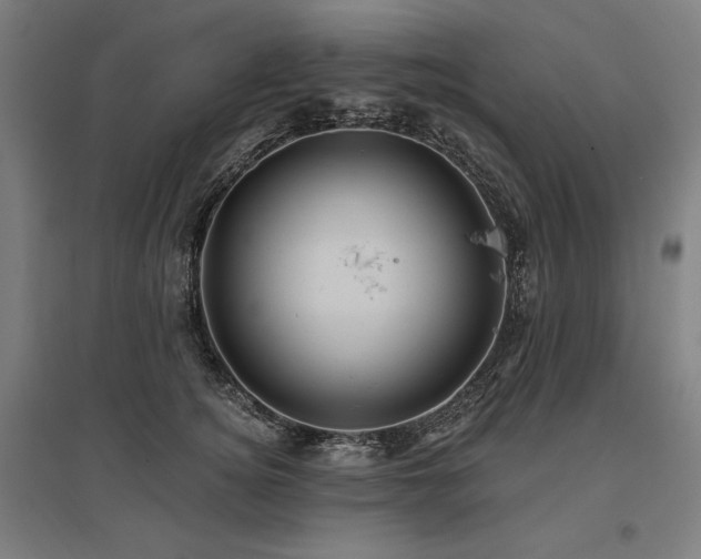 X0000096170756200801181249