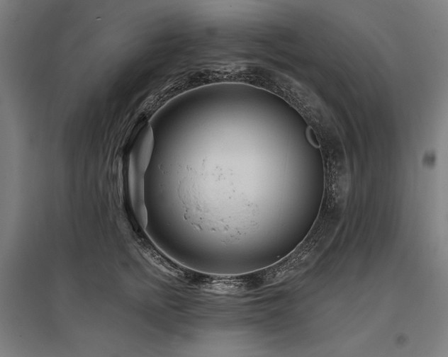 X0000096170758200801181249