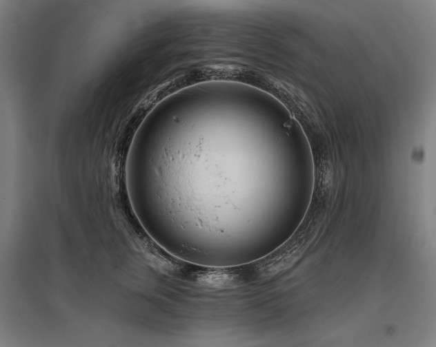 X0000096170759200801181249