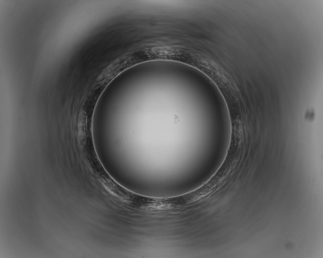 X0000096170760200801181249
