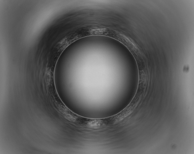 X0000096170761200801181249