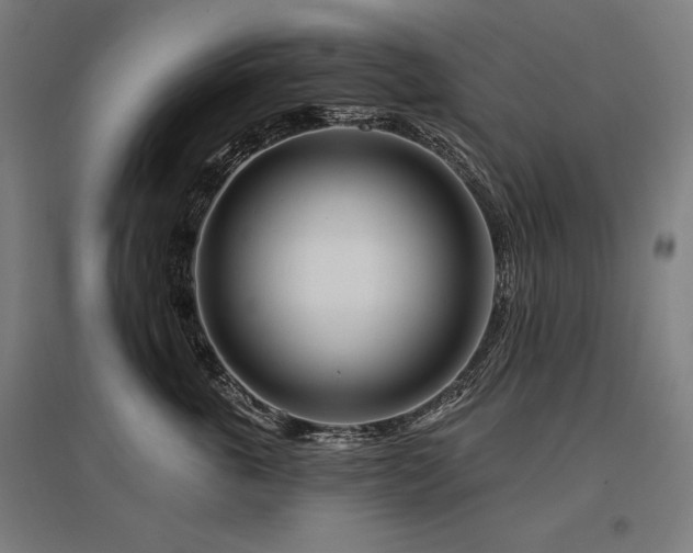 X0000096170763200801181249