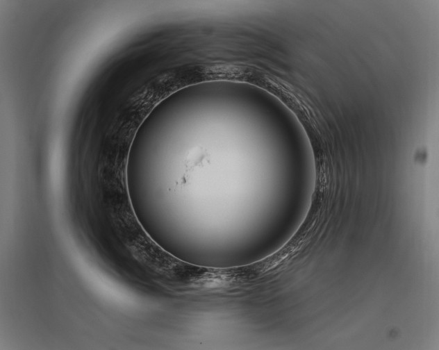 X0000096170764200801181249