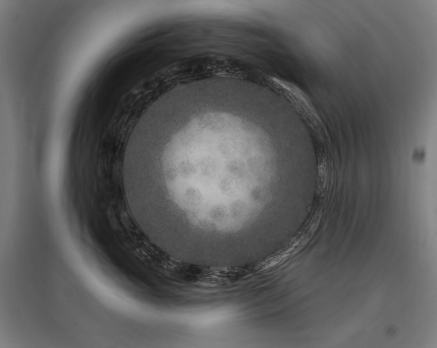 X0000096170765200801181249