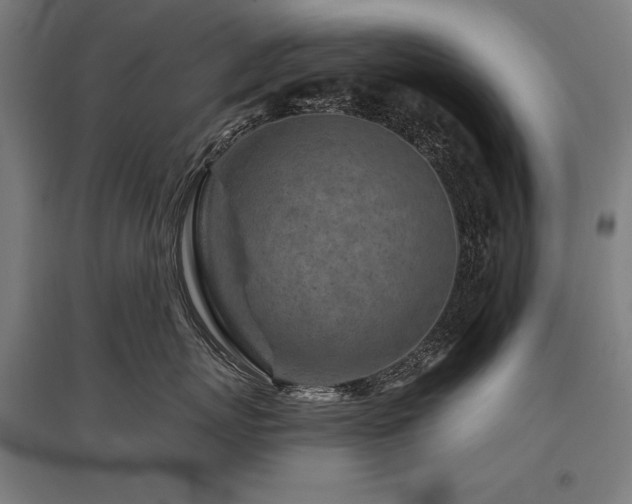X0000096170767200801181249