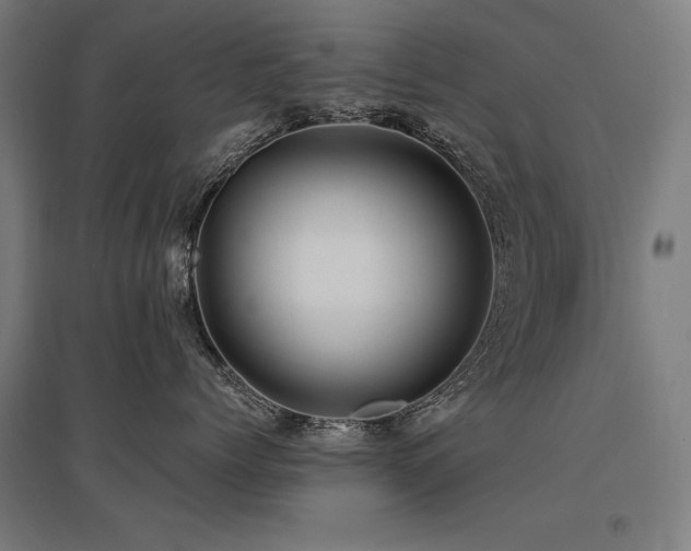 X0000096170768200801181249