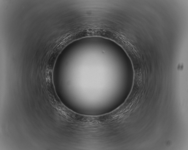 X0000096170770200801181249
