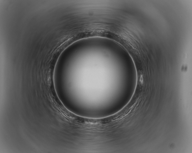 X0000096170771200801181249