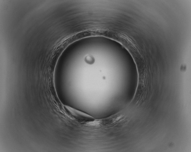 X0000096170773200801181249