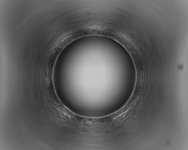 X0000096170774200801181249