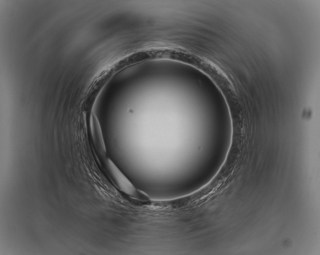 X0000096170775200801181249