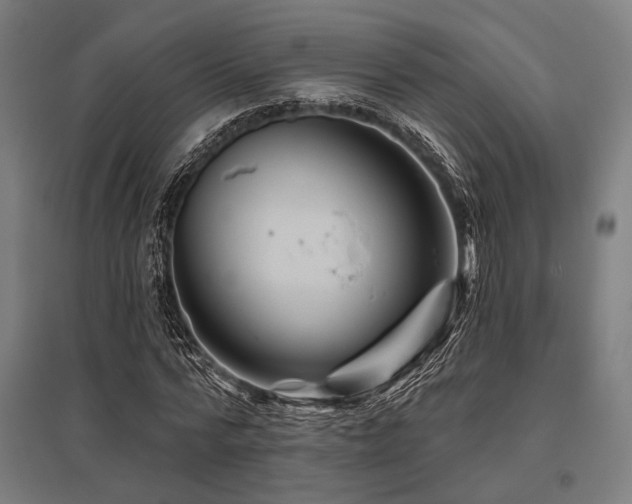 X0000096170776200801181249