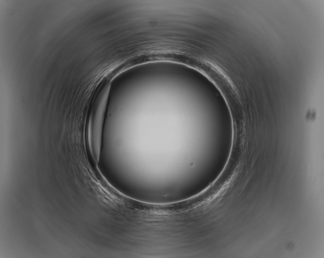 X0000096170777200801181249