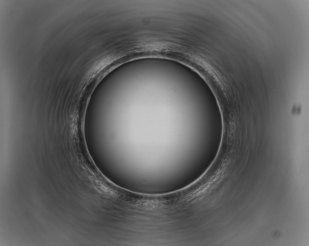X0000096170778200801181249