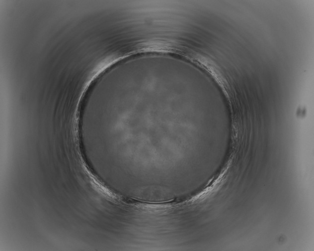 X0000096170779200801181249