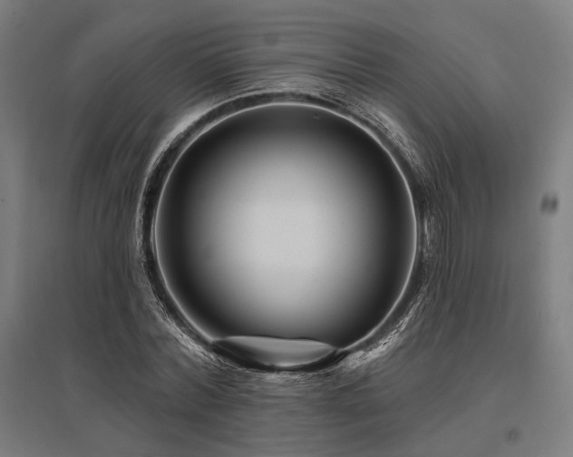 X0000096170780200801181249