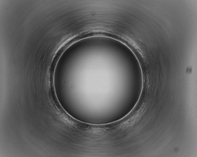 X0000096170782200801181249