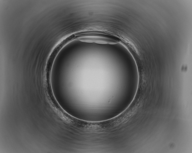 X0000096170784200801181249
