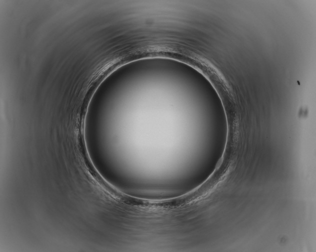 X0000096170785200801181249