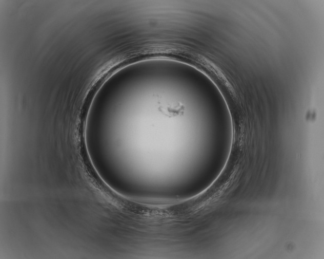 X0000096170786200801181249
