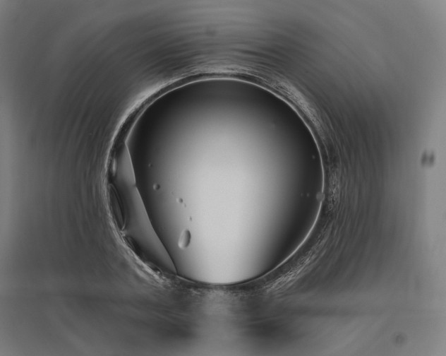 X0000096170787200801181248