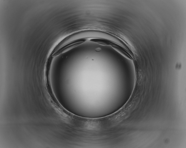 X0000096170788200801181248
