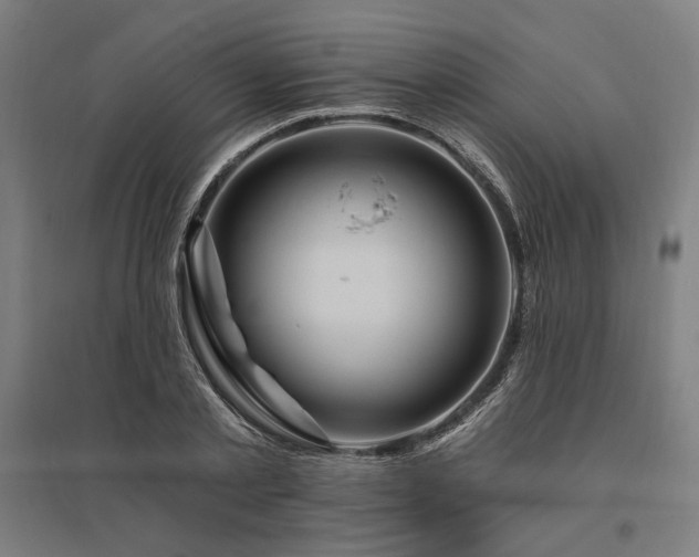 X0000096170789200801181248