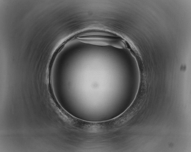 X0000096170791200801181248