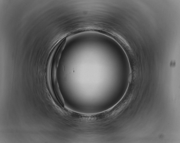 X0000096170793200801181248