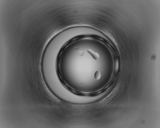 X0000096170797200801181248