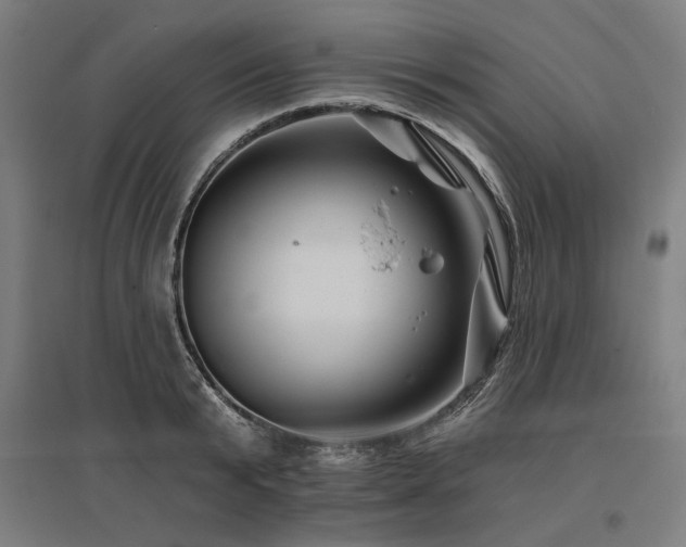 X0000096170799200801181248