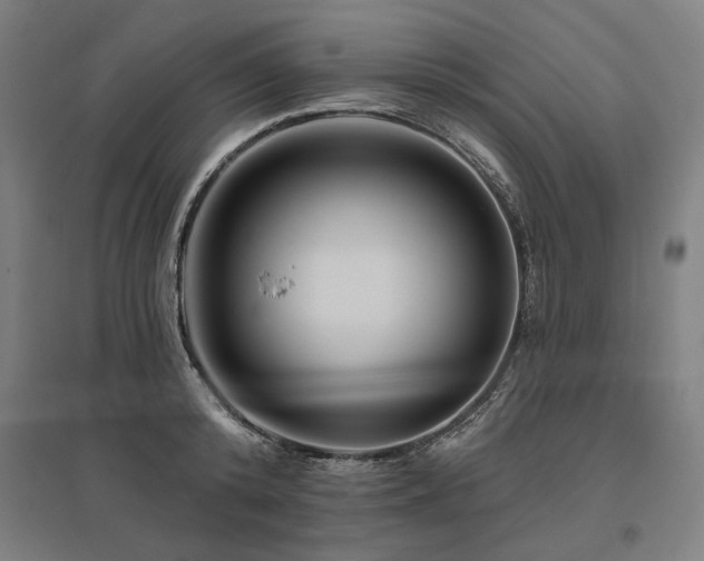 X0000096170800200801181248