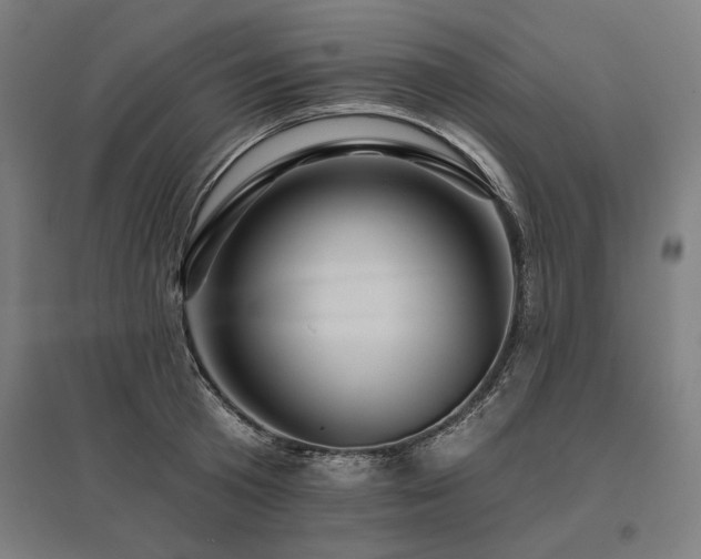 X0000096170801200801181248