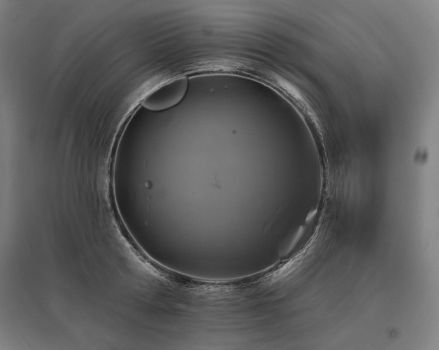 X0000096170802200801181248