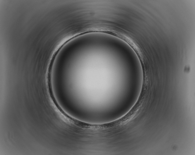 X0000096170803200801181248