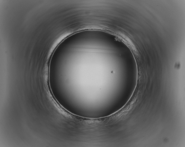 X0000096170804200801181248