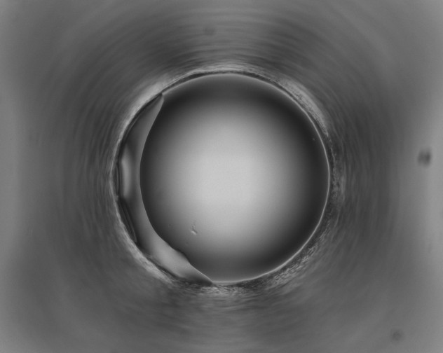 X0000096170805200801181248